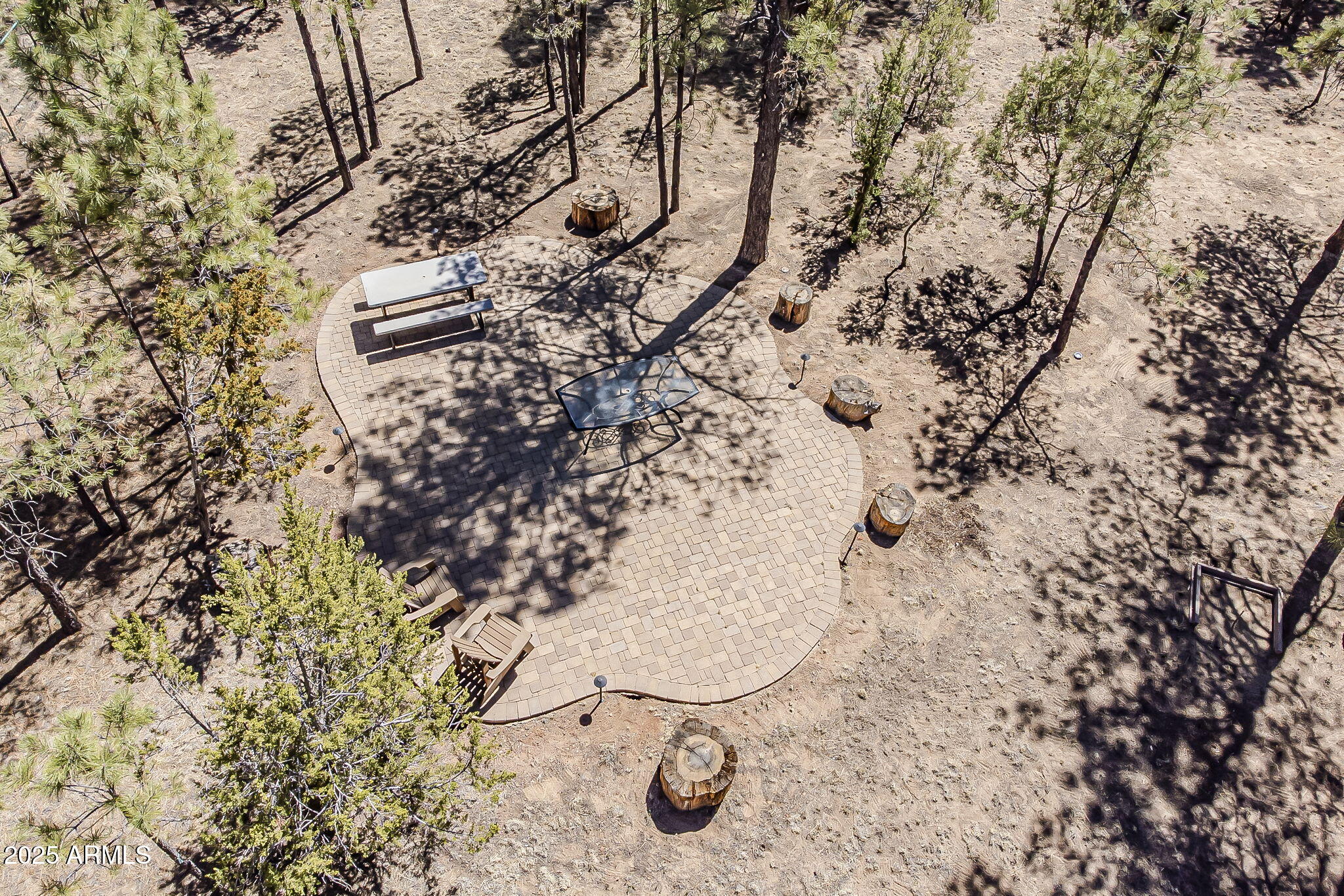 2793 Canyon Ridge Road Overgaard, AZ 85933 - Photo 41 of 76 3-web-or-mls-Canyon Aerial-3