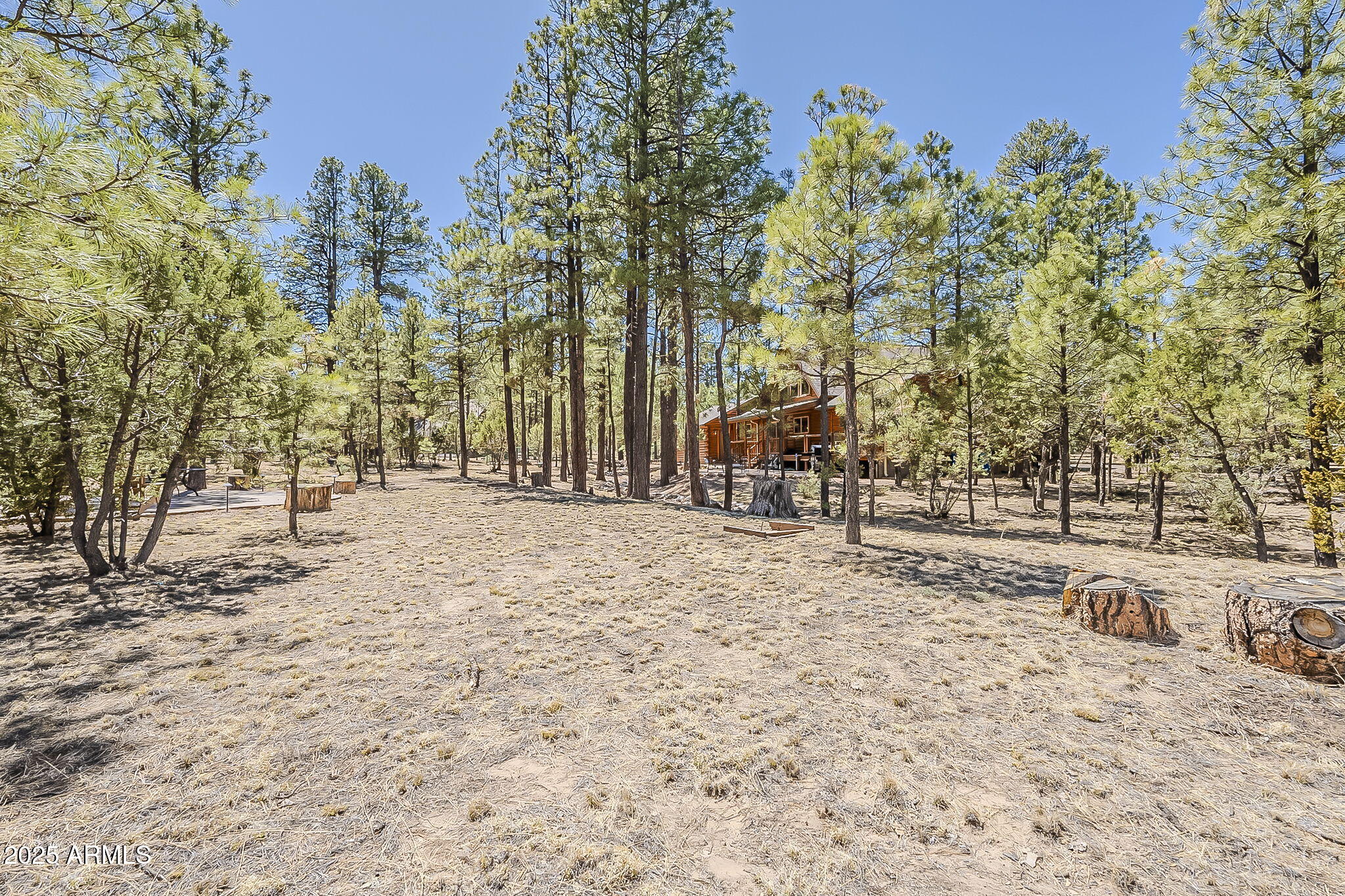 2793 Canyon Ridge Road Overgaard, AZ 85933 - Photo 46 of 76 77-web-or-mls-Canyon-64