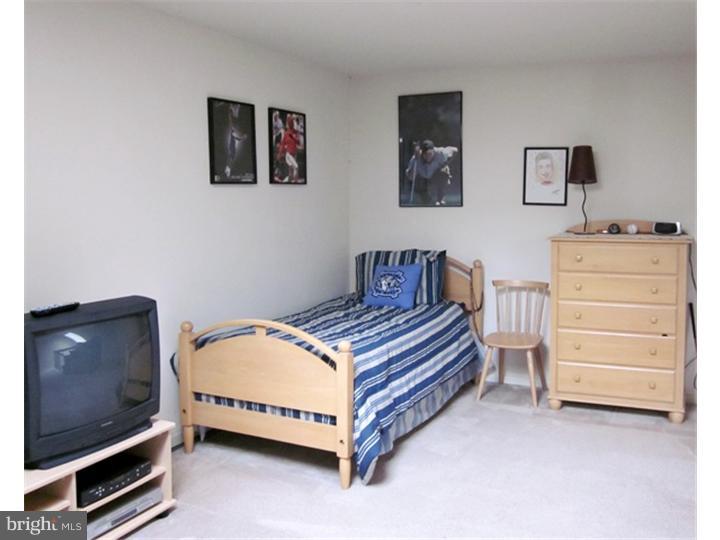 3 Kaylin Corner Chalfont, PA 18914 - Photo 13 of 24 Loft