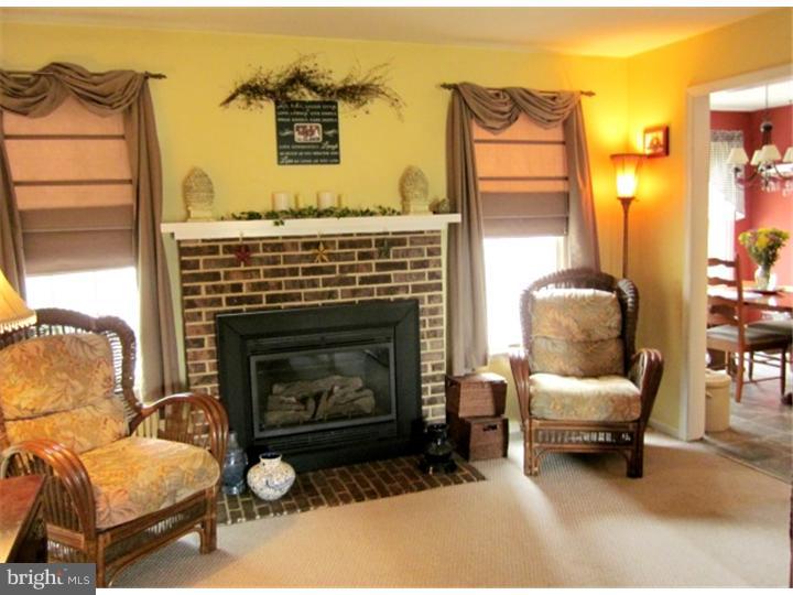 3 Kaylin Corner Chalfont, PA 18914 - Photo 4 of 24 Fireplace