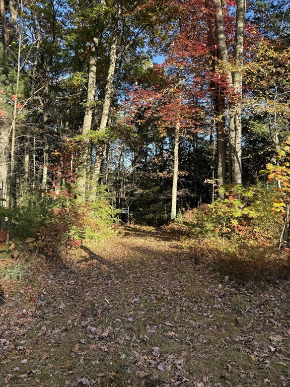 217 Nichols Road Barre, MA 01005 - Photo 29 of 41 a view of a yard with wooden fence