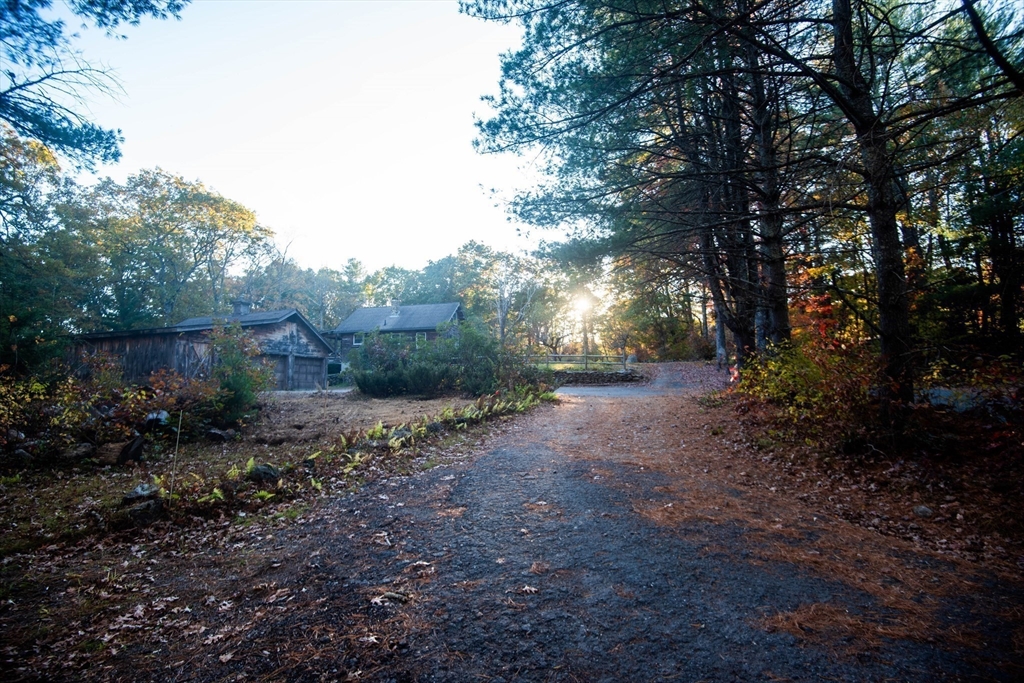 217 Nichols Road Barre, MA 01005 - Photo 6 of 41 a view of a yard with plants and large trees
