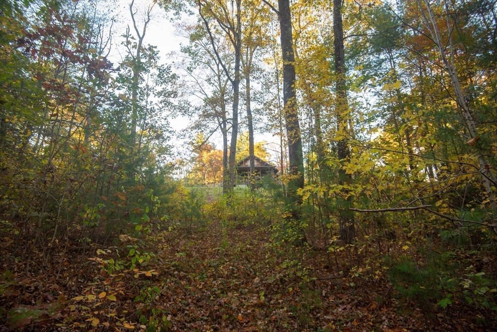 217 Nichols Road Barre, MA 01005 - Photo 10 of 41 a view of forest