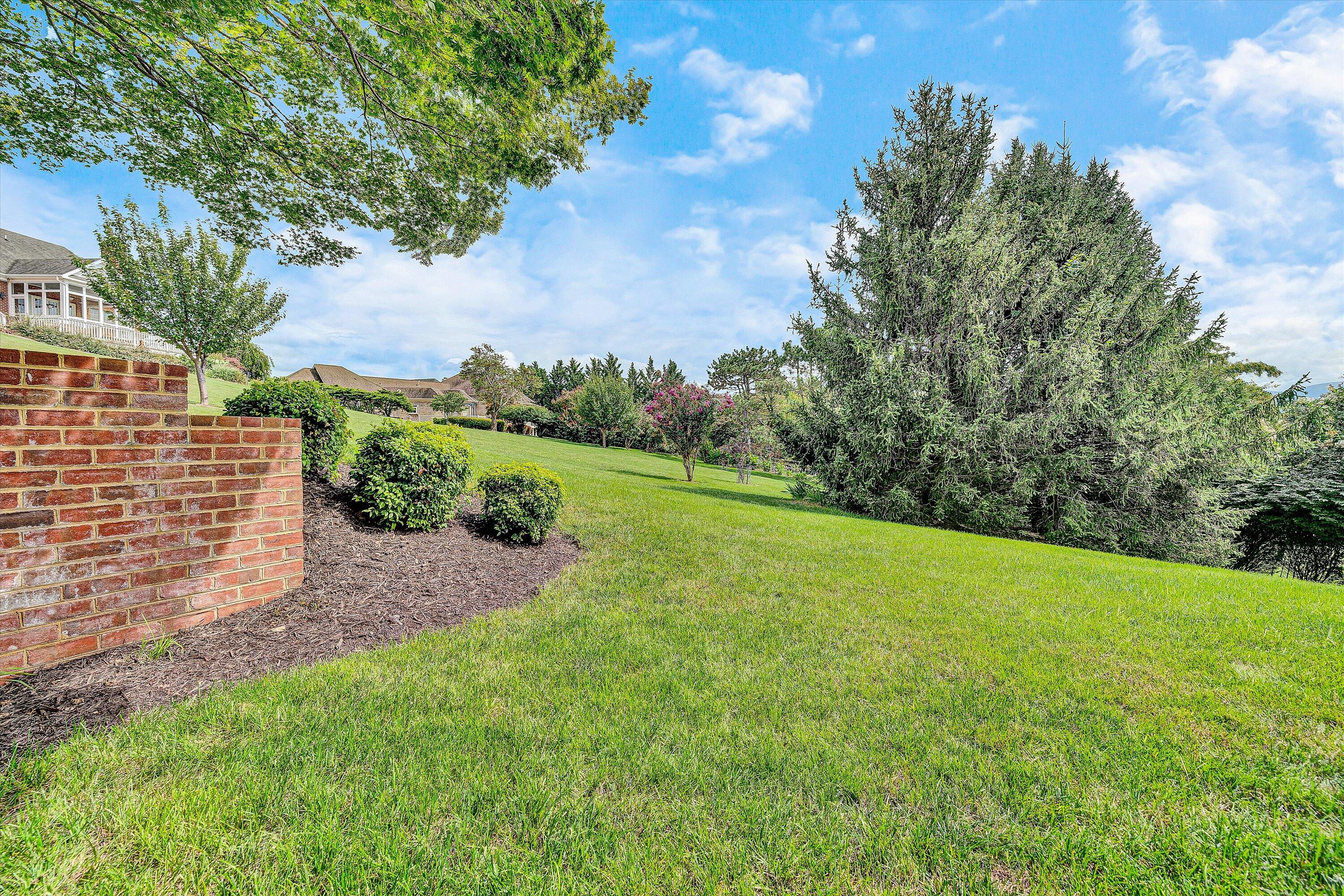 824 Pendleton Drive Salem, VA 24153 - Photo 65 of 78 a view of a field of grass and trees