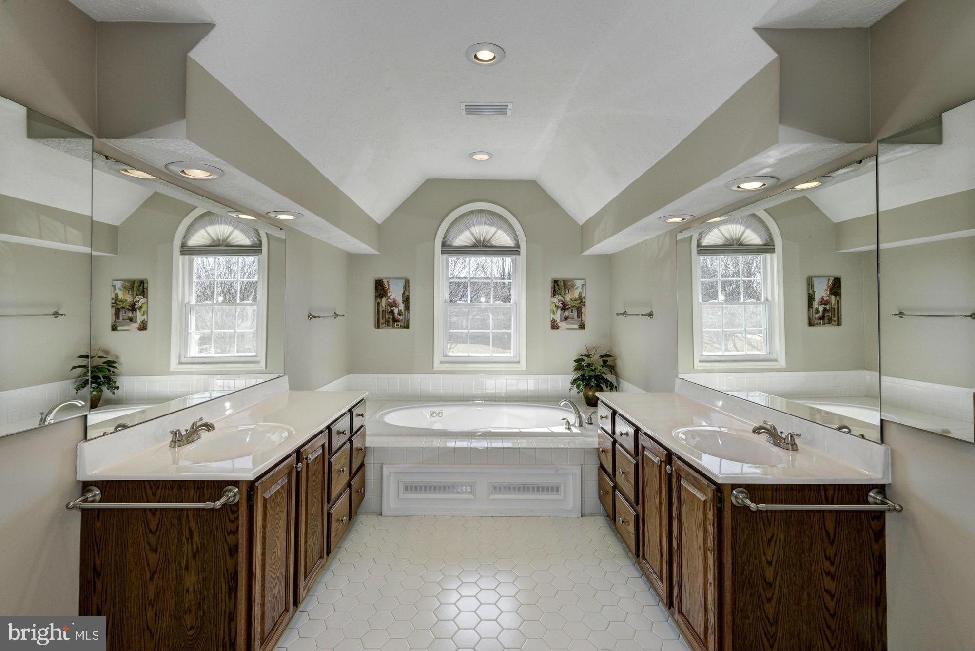 10248 Wetherburn Road Ellicott City, MD 21042 - Photo 22 of 30 Spa-Like Master Bath