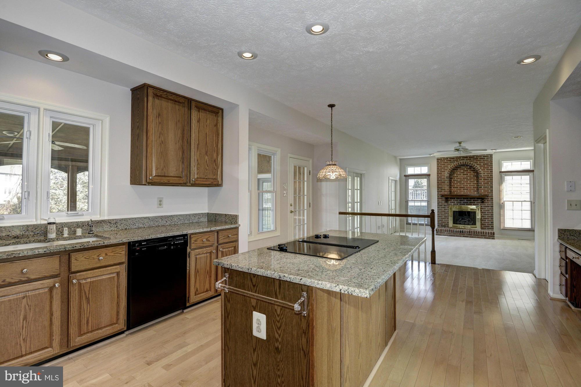 10248 Wetherburn Road Ellicott City, MD 21042 - Photo 6 of 30 Gourmet Kitchen
