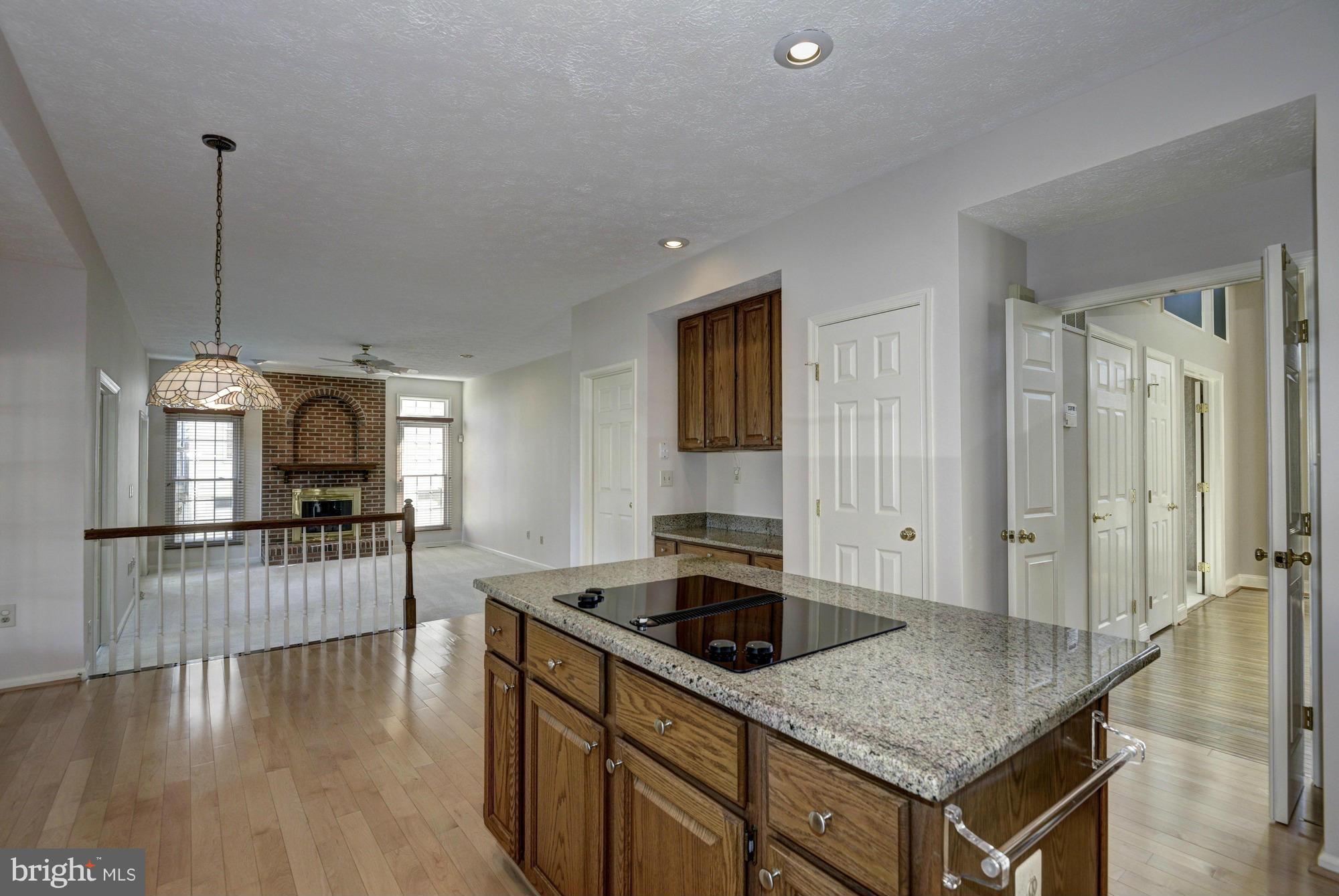10248 Wetherburn Road Ellicott City, MD 21042 - Photo 7 of 30 Gourmet Kitchen