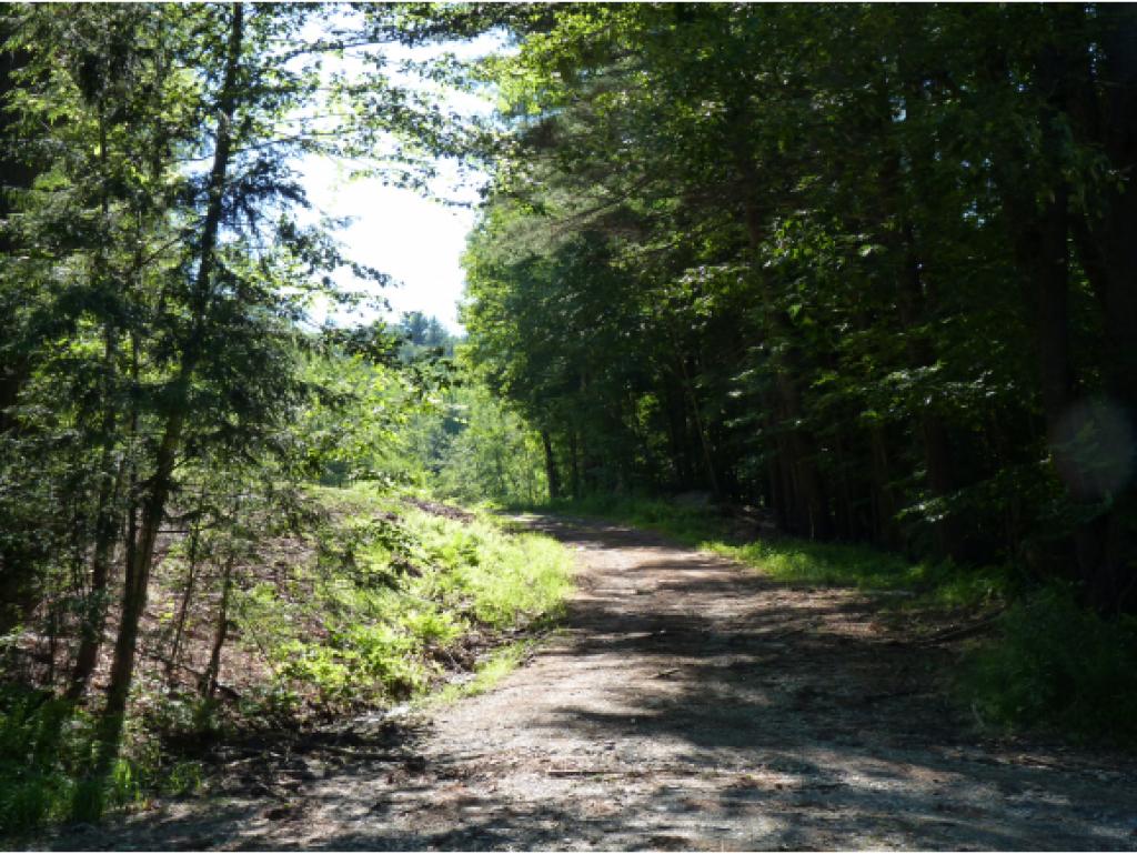 227 Westmoreland Road Chesterfield, NH 03462 - Photo 1 of 5 Gallery Image 1
