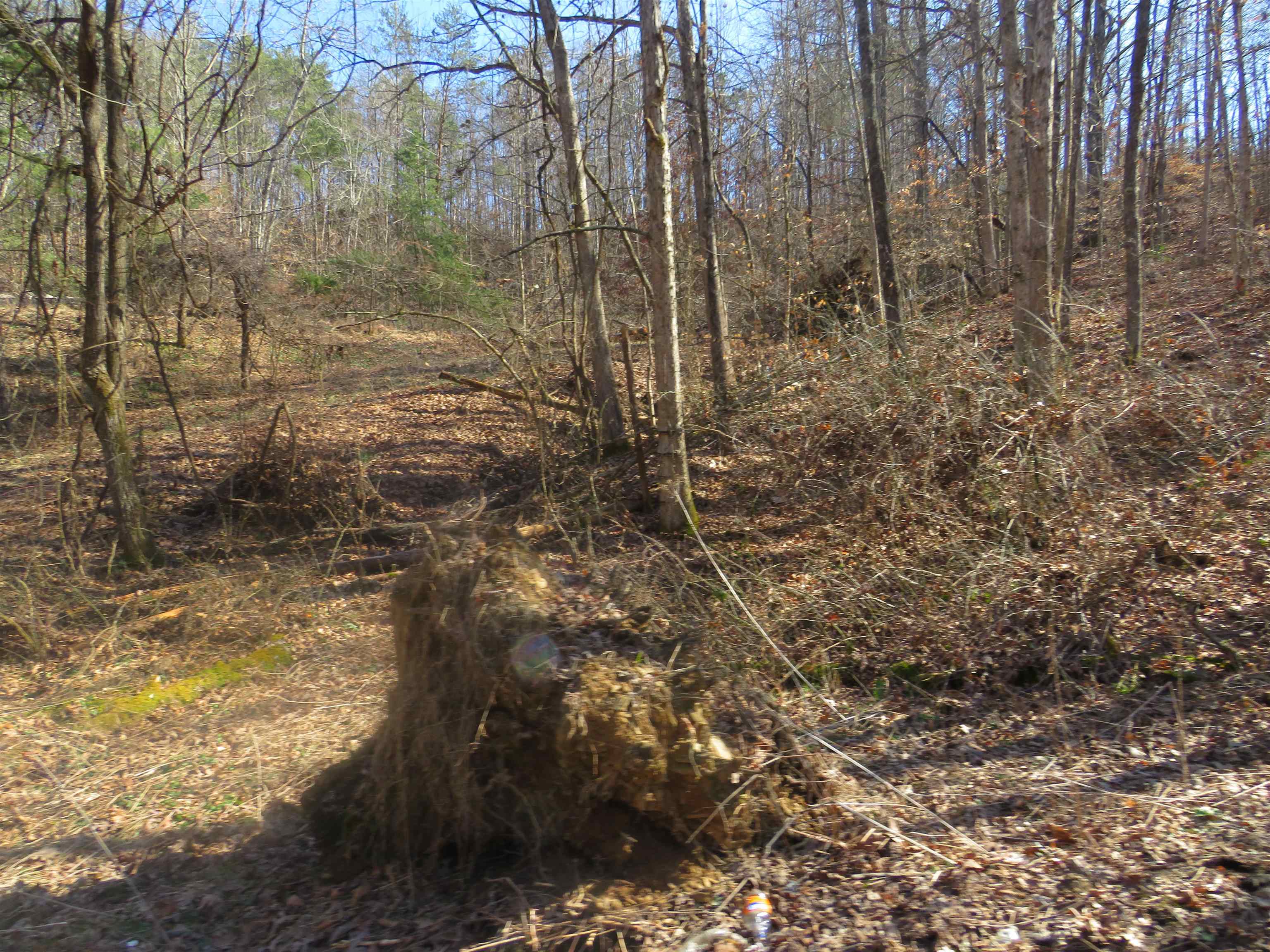 63 Frazier Road Olive Hill, KY 41164 - Photo 6 of 9