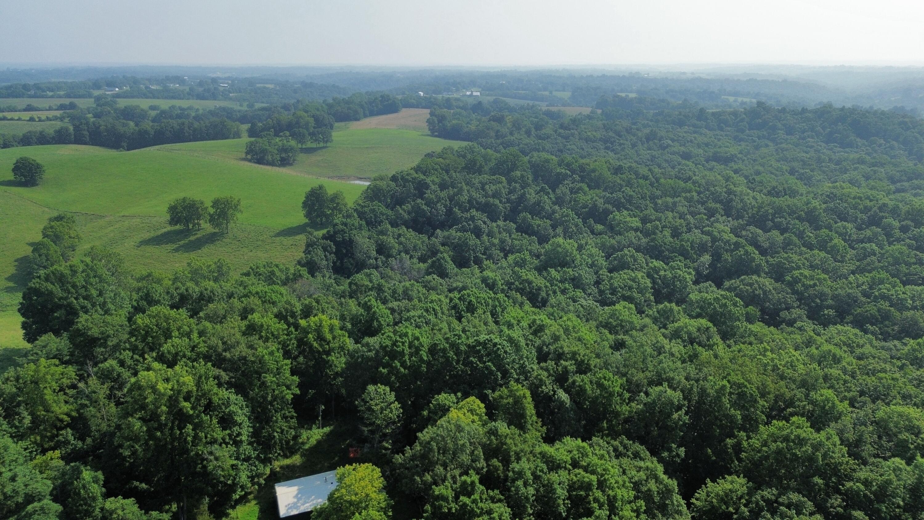 dji_fly_20260719_181636_46_1784563418835