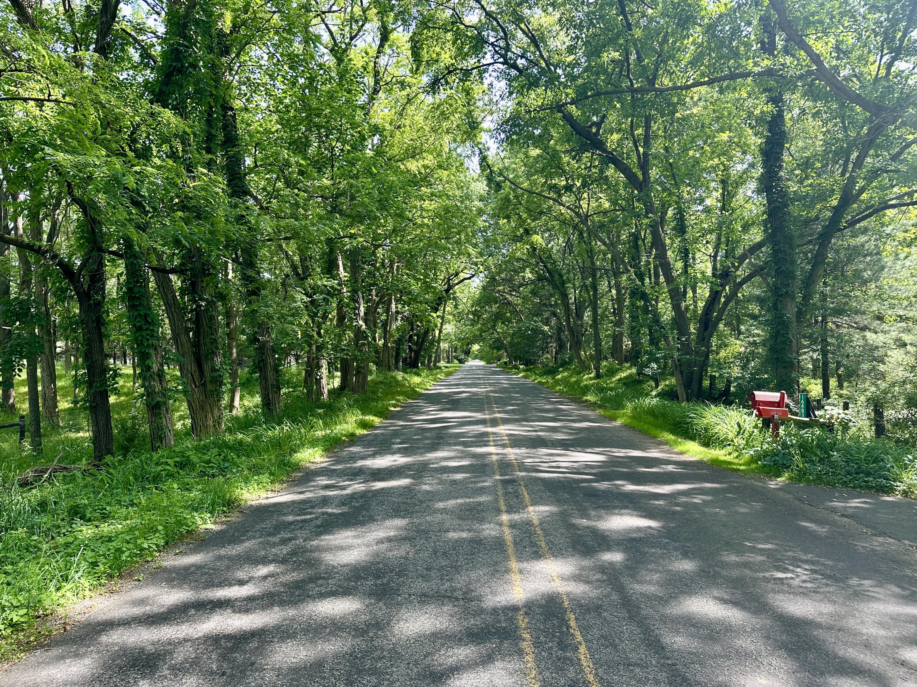 16490 18 Mile Road Marshall, MI 49068 - Photo 10 of 10 IMG_8292
