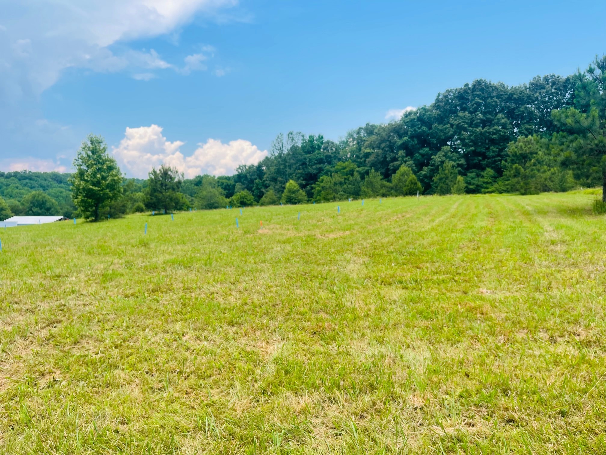 7149 Dice Lampley Road Fairview, TN 37062 - Photo 3 of 9 Gallery Image 3
