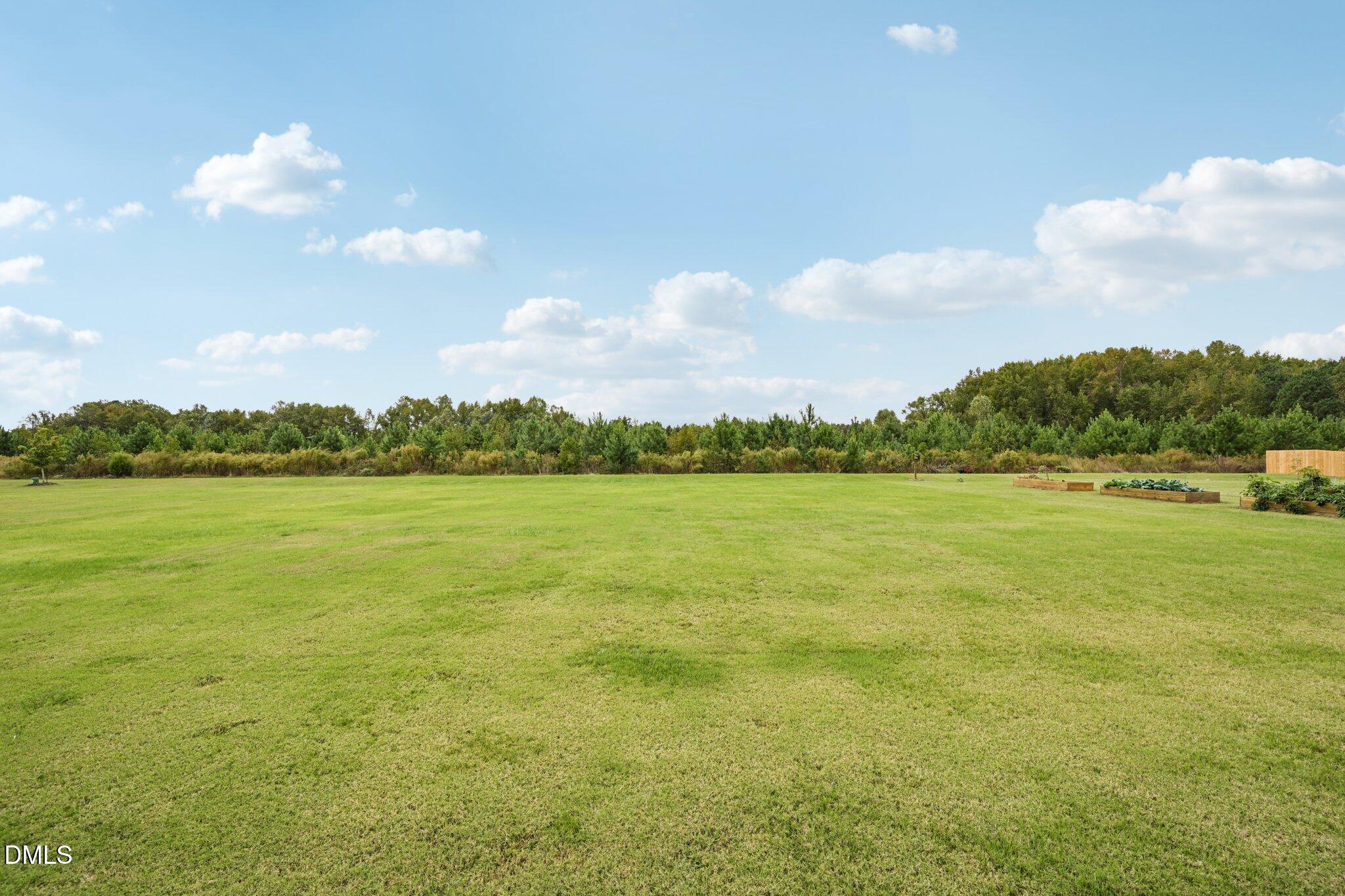 4516 Beckel Road Willow Spring, NC 27592 - Photo 33 of 37 46-web-or-mls-Beckel Rd-S1510-046