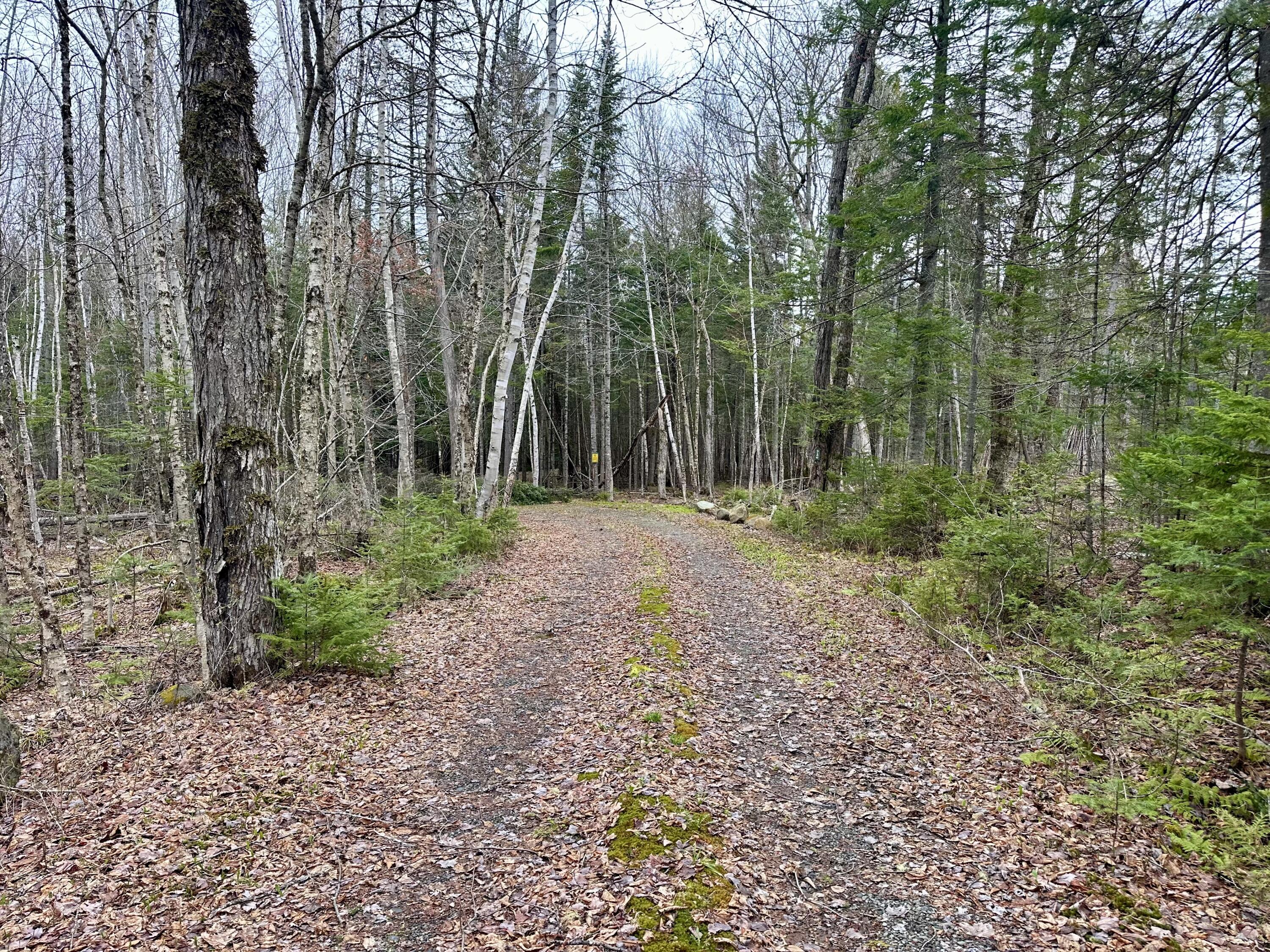 2318 Toe Of The Boot Road Rockwood, ME 04478 - Photo 5 of 19 IMG_4516