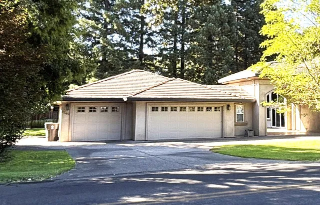 a front view of a house with a yard potted plants and large tree