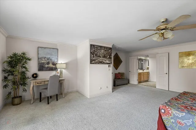 a view of backyard with tree