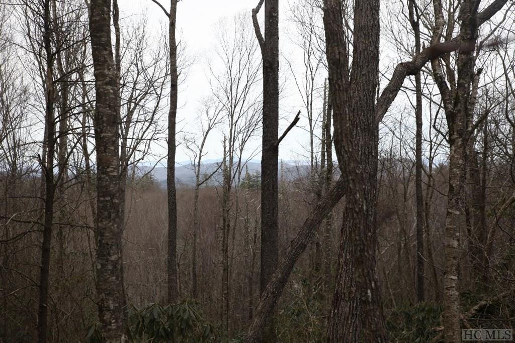 Tbd Cowee Ridge Road Highlands, NC 28741 - Photo 3 of 11 Gallery Image 3
