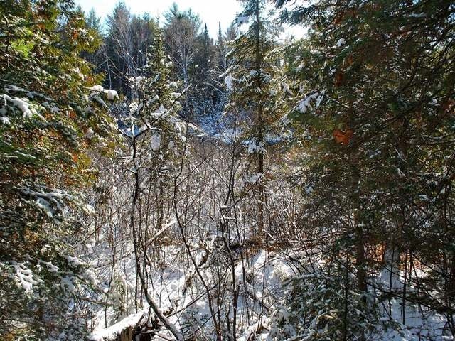 On Dyer Road, Unit LOT 2 Eagle River, WI 54521 - Photo 12 of 12 Gallery Image 12