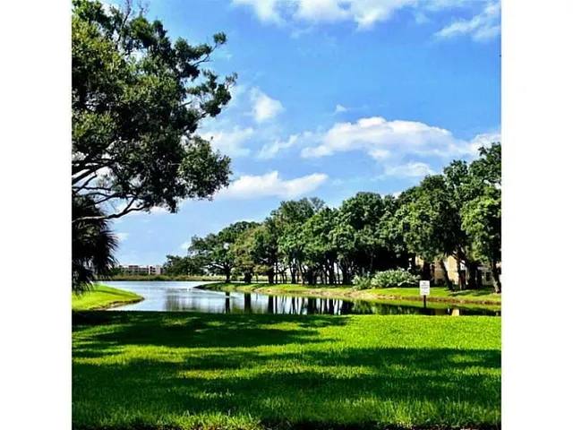 a view of a lake and a yard