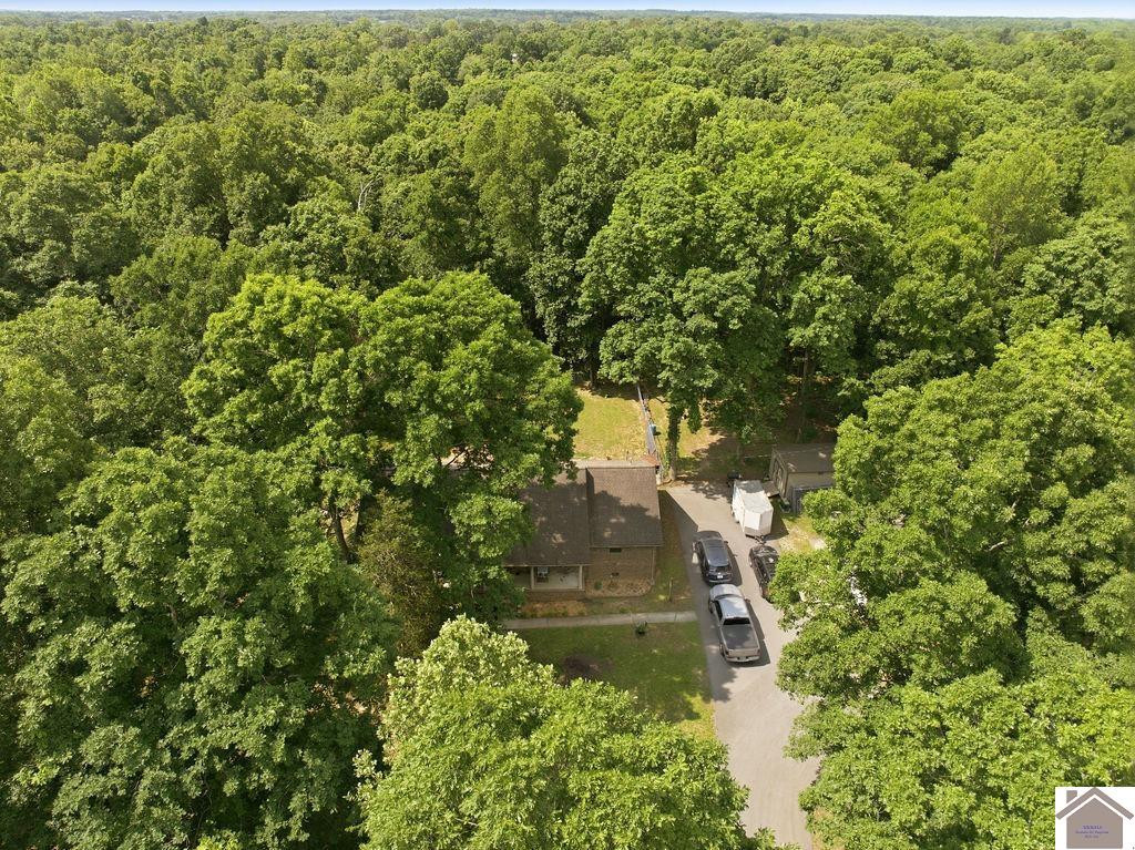 303 Hico Road Murray, KY 42071 - Photo 47 of 49 Photo 47