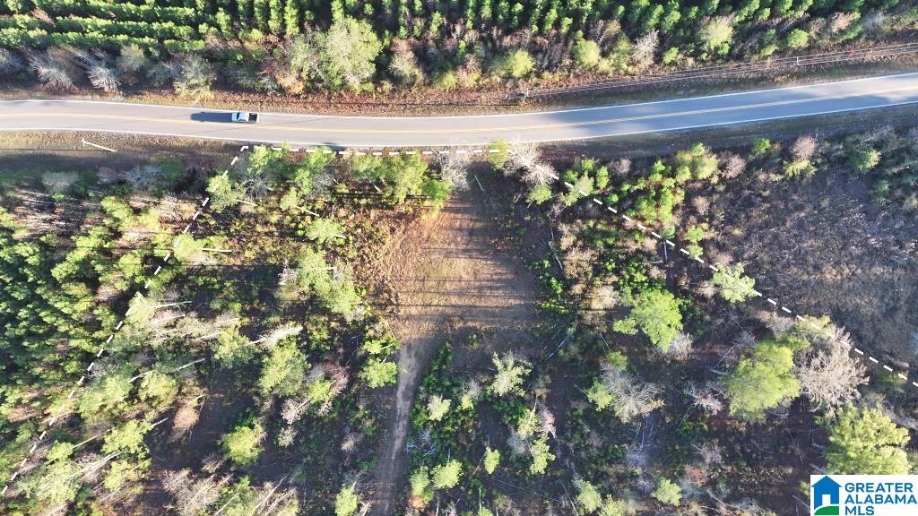 200 Kelly Creek Road Odenville, AL 35120 - Photo 12 of 47