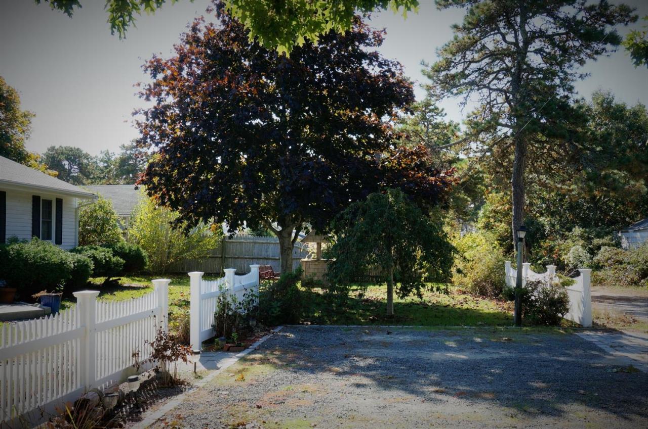 18 Edwards Road Dennis Port, MA 02639 - Photo 6 of 31 a view of a yard with plants and large trees