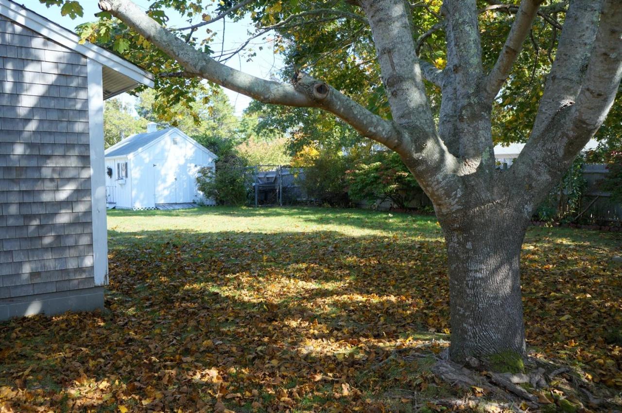 18 Edwards Road Dennis Port, MA 02639 - Photo 8 of 31 a view of a trees in a yard