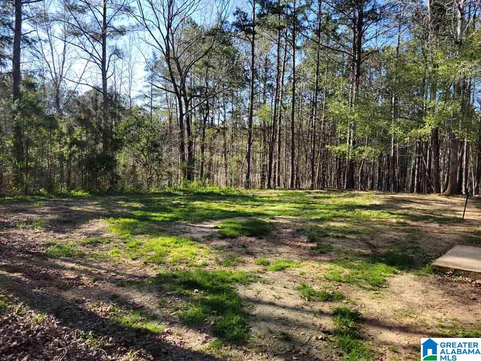 859 County Road 233 Fruithurst, AL 36262 - Photo 4 of 29