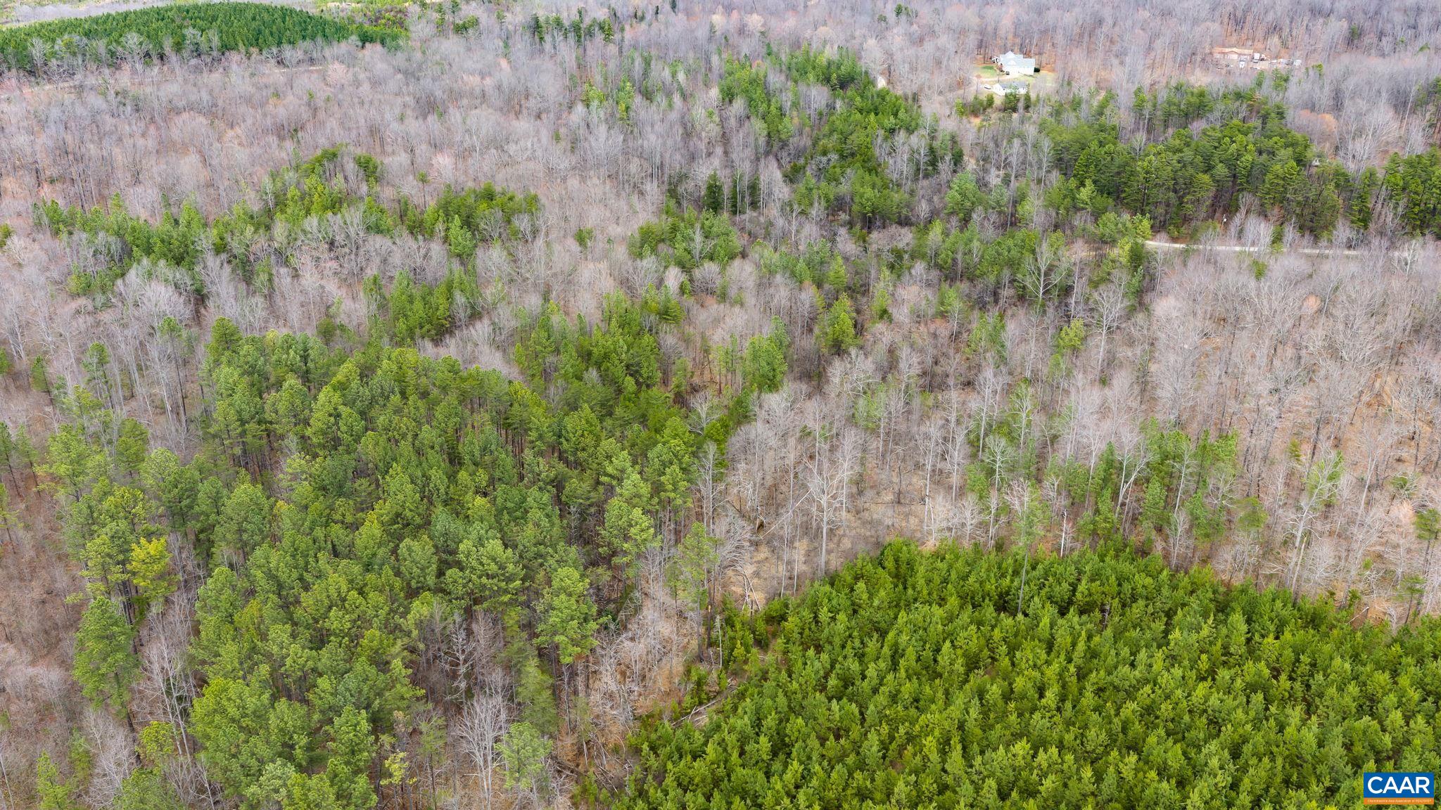 Sharon Road Esmont, VA 22937 - Photo 16 of 25 Gallery Image 16