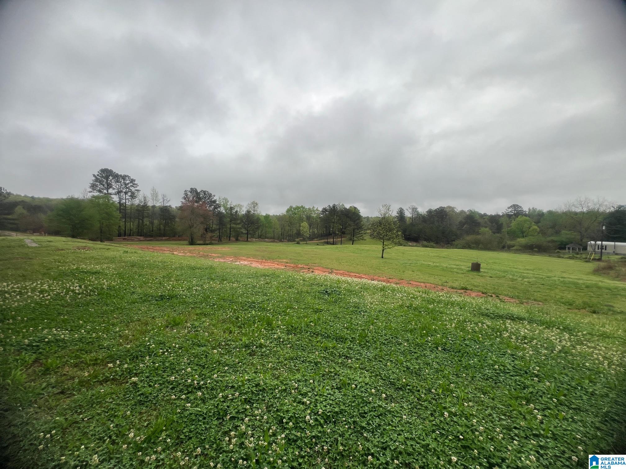 11970 Lost Road Berry, AL 35546 - Photo 16 of 32