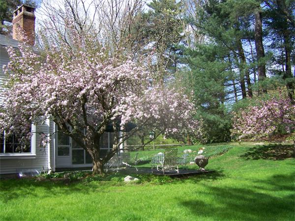 68 Nobscot Road Weston, MA 02493 - Photo 19 of 22 Gallery Image 19