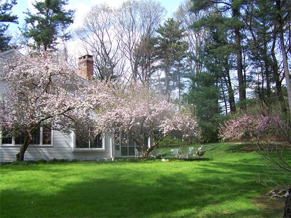 68 Nobscot Road Weston, MA 02493 - Photo 20 of 22 Gallery Image 20