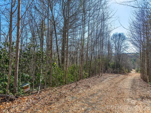 $30,000 | 99999 Toe River Lane, Unit 6, Newland, NC 28657
