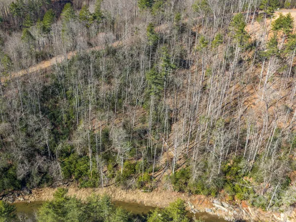 $30,000 | 99999 Toe River Lane, Unit 6, Newland, NC 28657