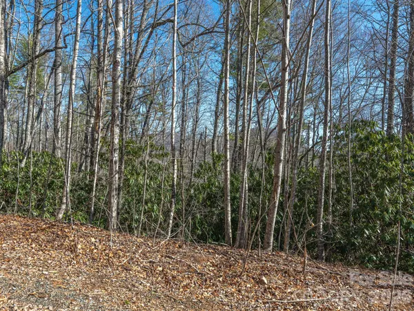 $30,000 | 99999 Toe River Lane, Unit 6, Newland, NC 28657