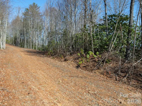 $30,000 | 99999 Toe River Lane, Unit 6, Newland, NC 28657