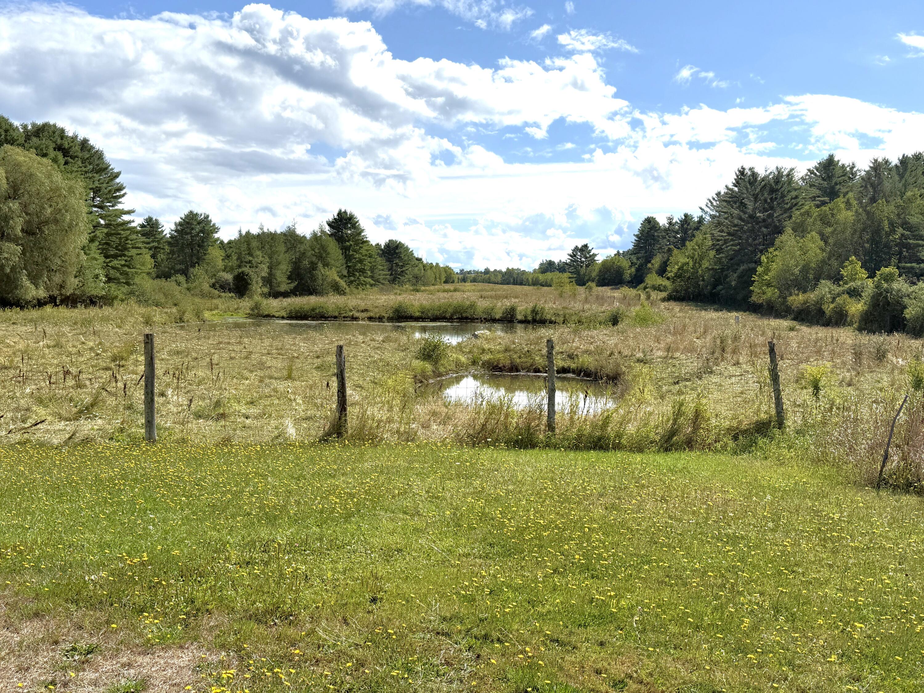 140 Ingraham Road South China, ME 04358 - Photo 40 of 41 Pasture