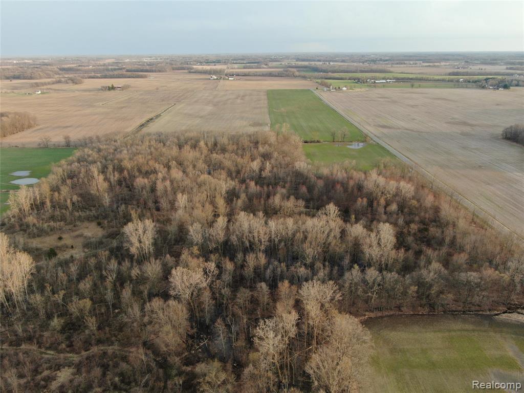 0 West Dewey Road Owosso, MI 48867 - Photo 10 of 12
