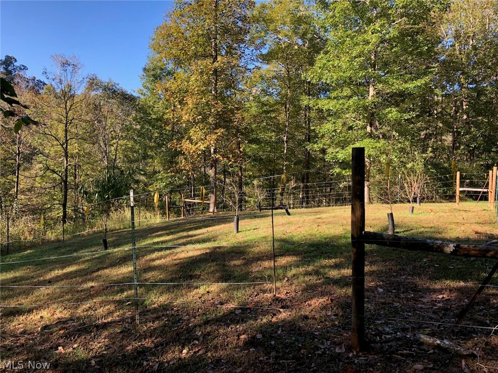 1200 Grass Run Road Normantown, WV 25267 - Photo 9 of 9