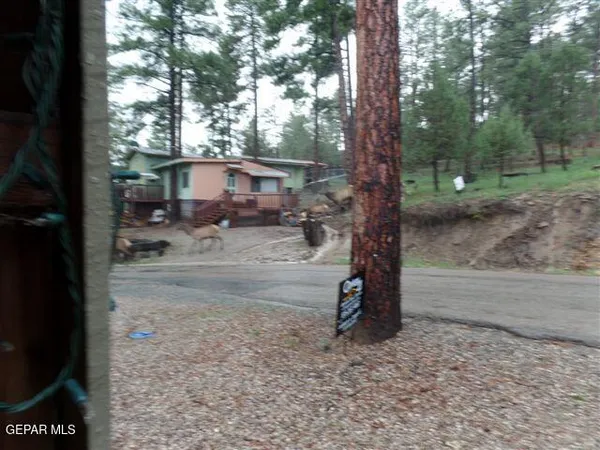 a view of backyard with trees