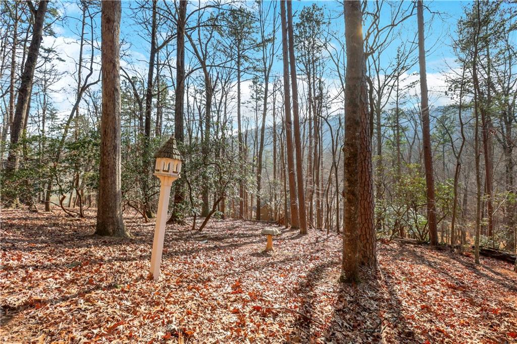 600 Wake Robin Drive Jasper, GA 30143 - Photo 45 of 54