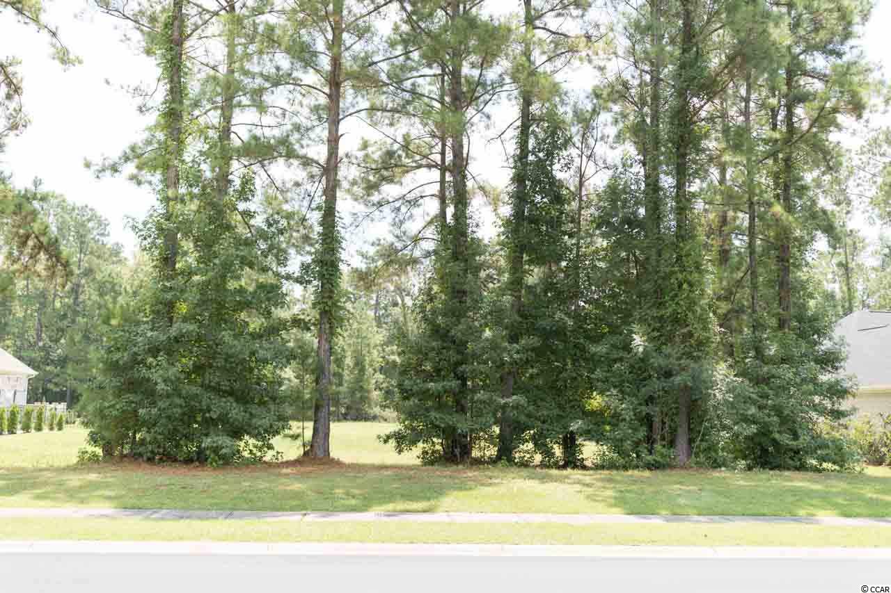 Lot 502 Chamberlain Road Myrtle Beach, SC 29588 - Photo 4 of 12 Gallery Image 4