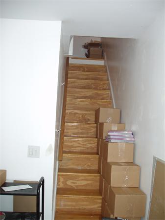 133 Eustis Street Boston, MA 02119 - Photo 3 of 13