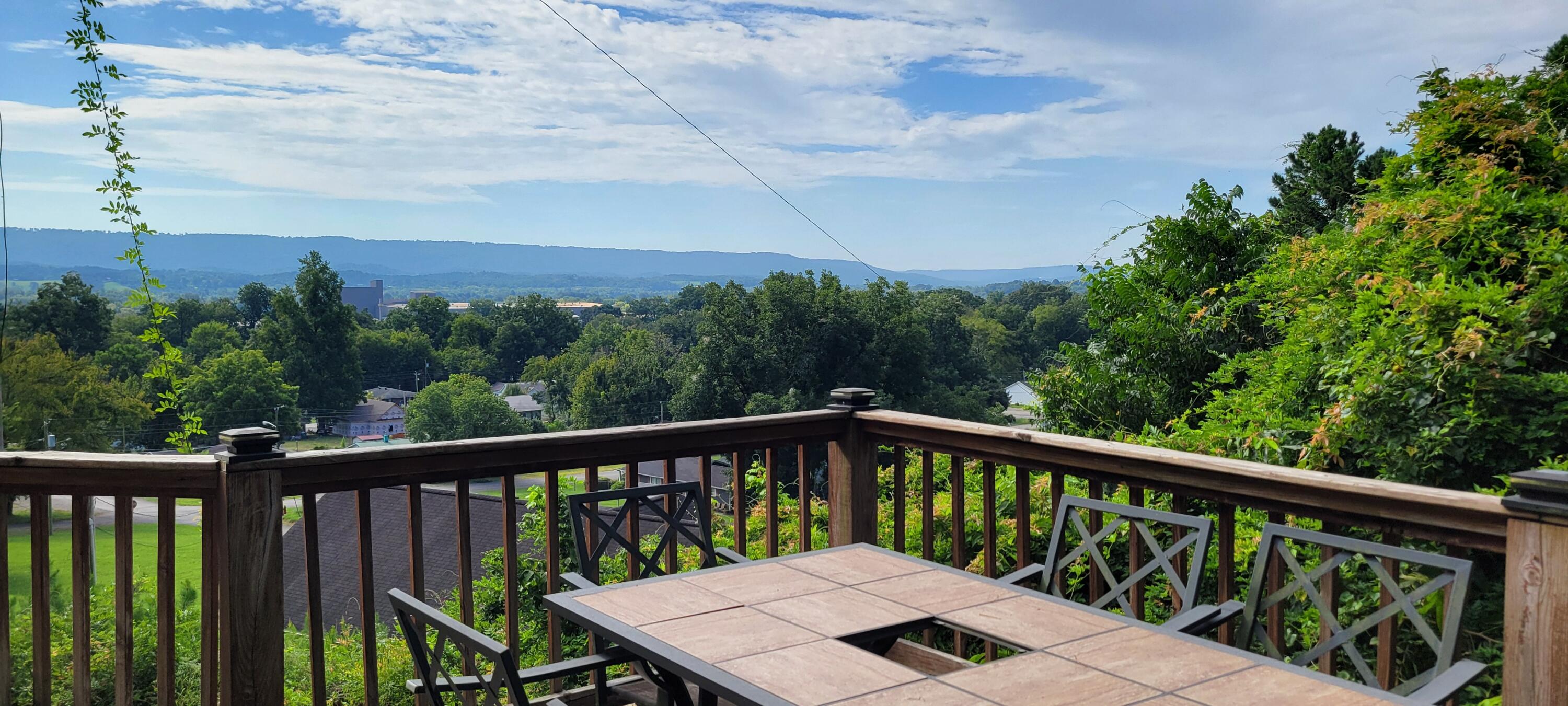 250 Raulstontown Road South Pittsburg, TN 37380 - Photo 8 of 25 20260825_094442
