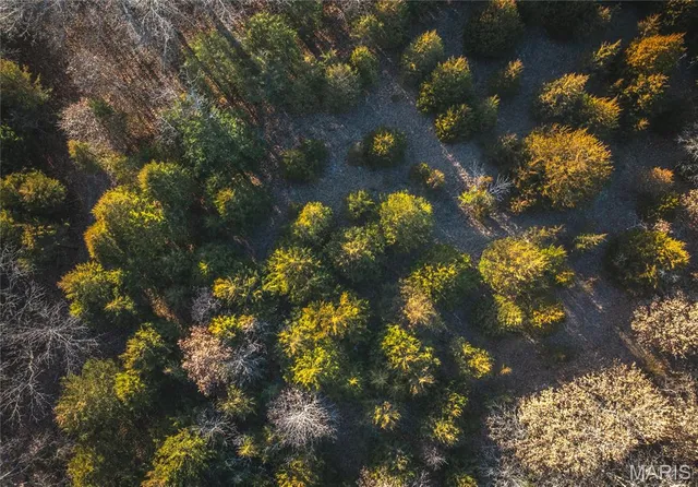 $549,900 | 38925 Stonepiler Avenue, Edwards, MO 65326