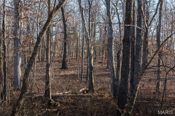 $549,900 | 38925 Stonepiler Avenue, Edwards, MO 65326