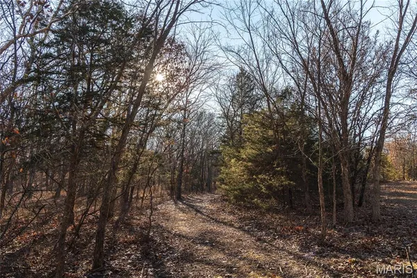 $549,900 | 38925 Stonepiler Avenue, Edwards, MO 65326