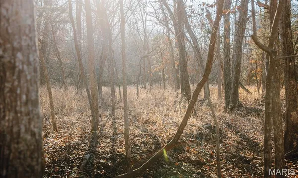 $549,900 | 38925 Stonepiler Avenue, Edwards, MO 65326