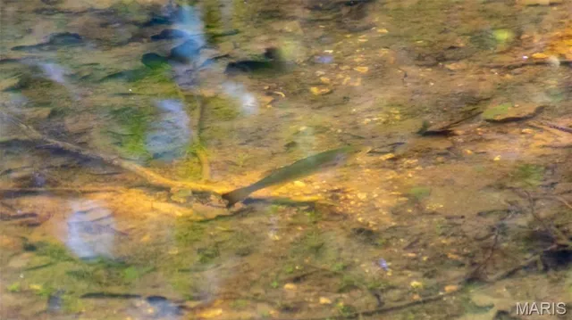 $549,900 | 38925 Stonepiler Avenue, Edwards, MO 65326