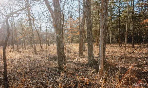 $549,900 | 38925 Stonepiler Avenue, Edwards, MO 65326